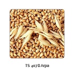 Arpa_LisanslY_Depo-min.jpg