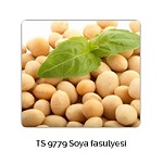 Fasulye__LisanslY_Depo-min.jpg
