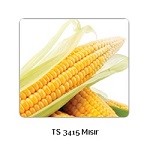 MYsYr__LisanslY_Depo-min.jpg